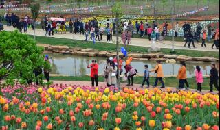 锦绣大地农业观光园 锦绣大地农业观光园